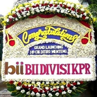 USD-009 1.3jt